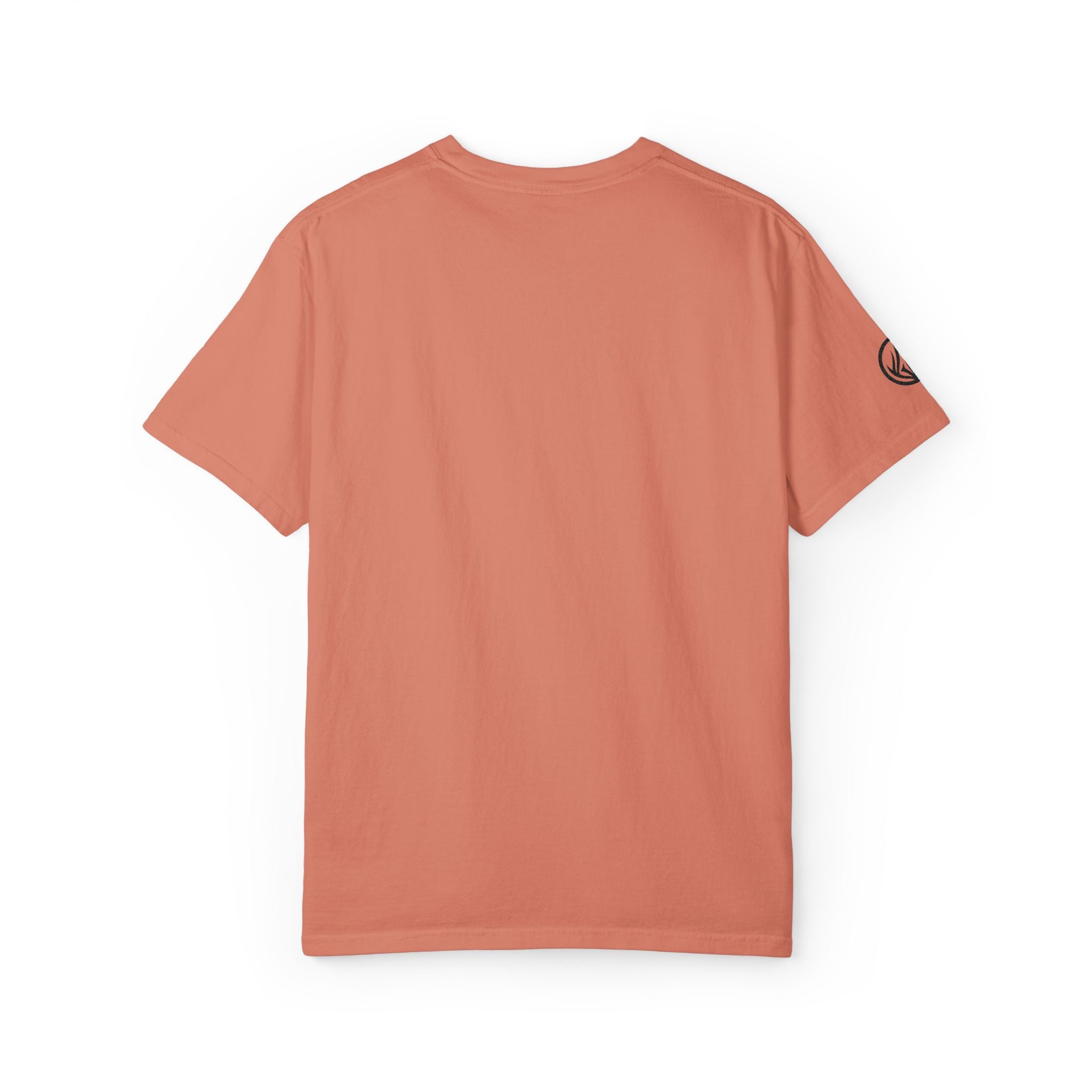 Garment-Dyed Unisex T-Shirt – Casual Comfort, Summer Vibes, Perfect Gift, Trendy Apparel, Everyday Wear