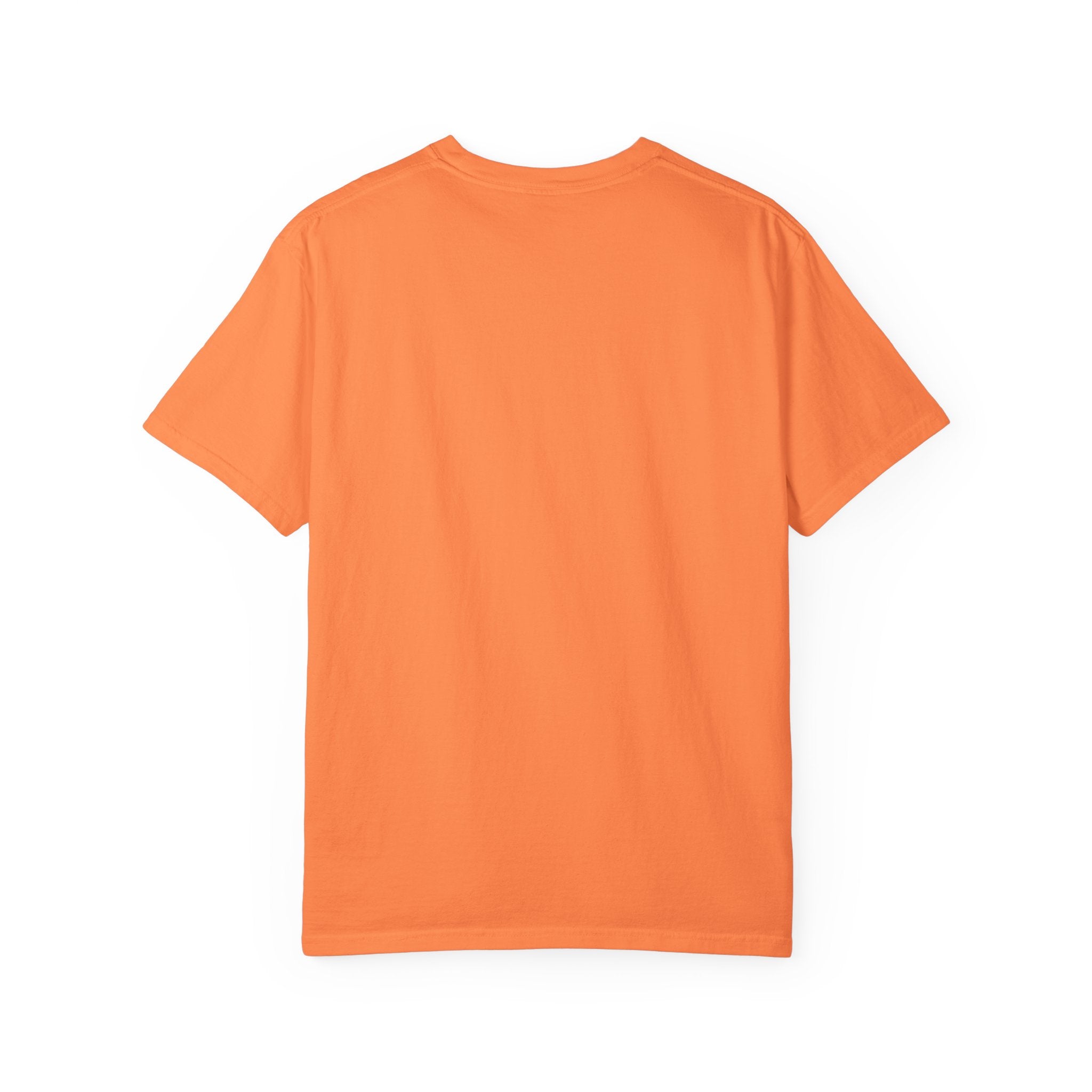 INSA1NE Unisex Garment-Dyed T-shirt | Casual Streetwear Tee, Graphic Tee, Modern Fashion, Creative Gift, Everyday Wear