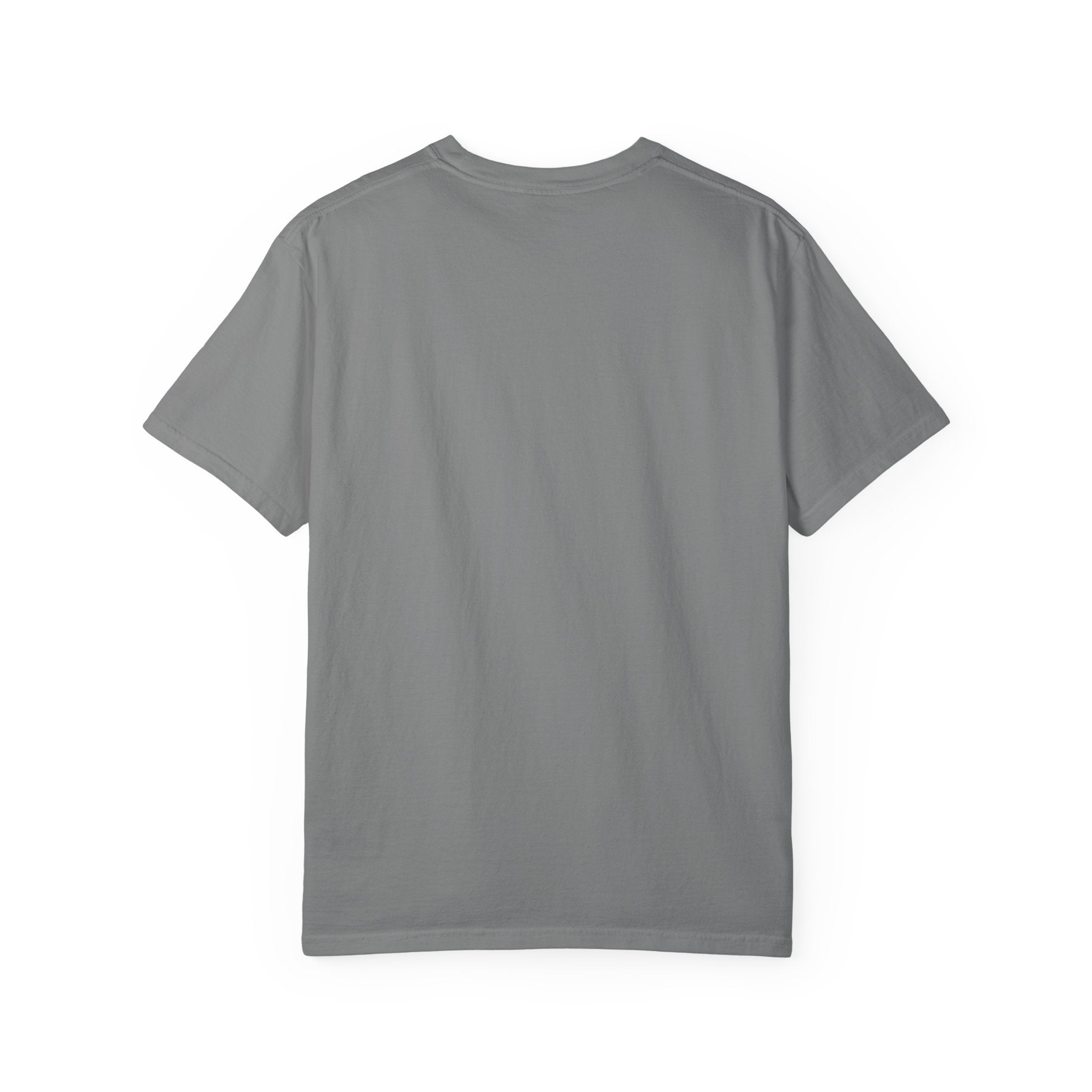 Drop 004 Unisex Garment-Dyed T-shirt