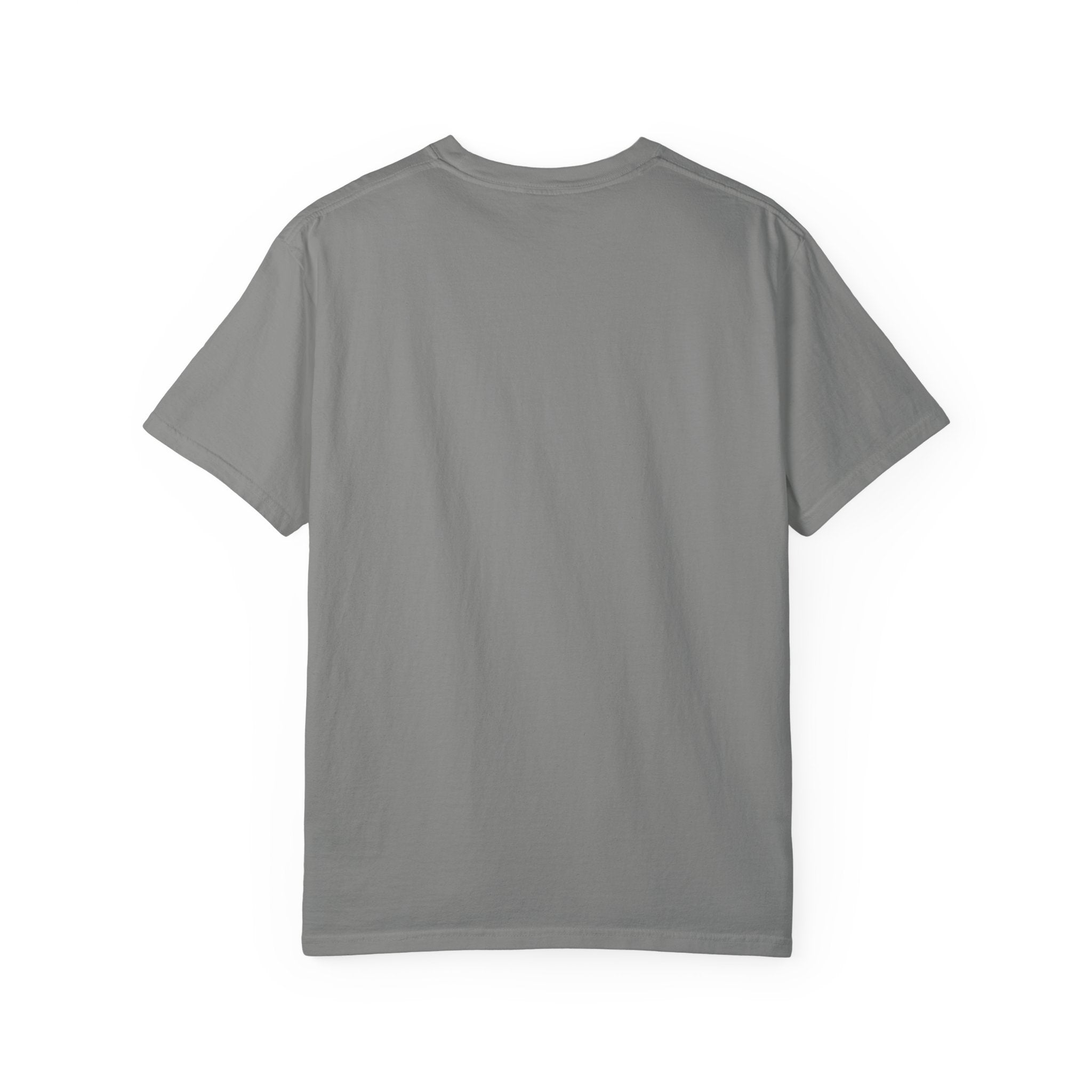 Drop 004 Unisex Garment-Dyed T-shirt